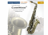 CannWood Saxophone_ _ Professional Class _ CAS_5100A_